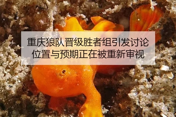 重庆狼队晋级胜者组引发讨论 位置与预期正在被重新审视